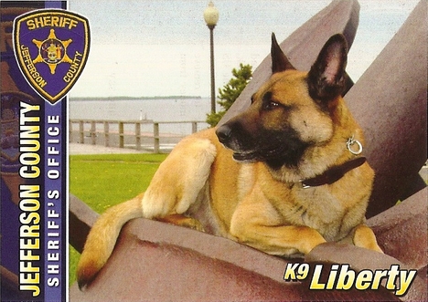 Retired K9 Liberty